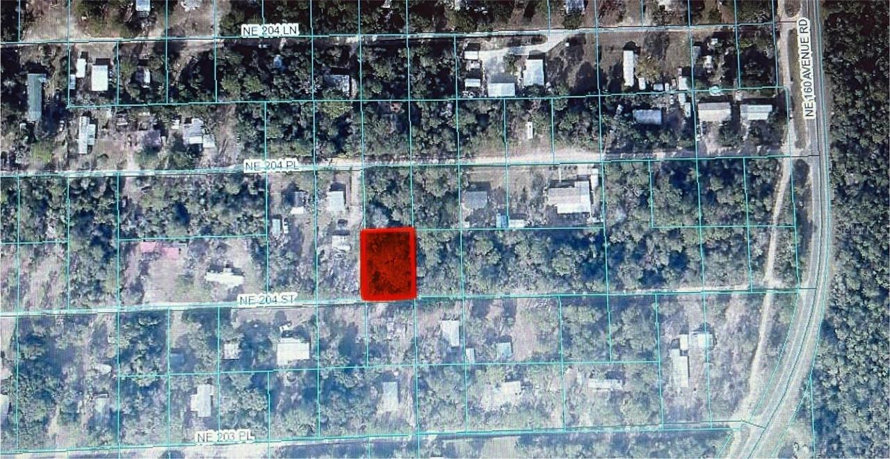 TBD NE Ne 204th St., Fort Mc Coy, FL 32134