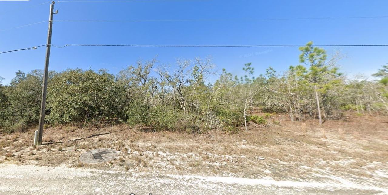 15095 Snowy Owl Ave., Brooksville, FL 34614