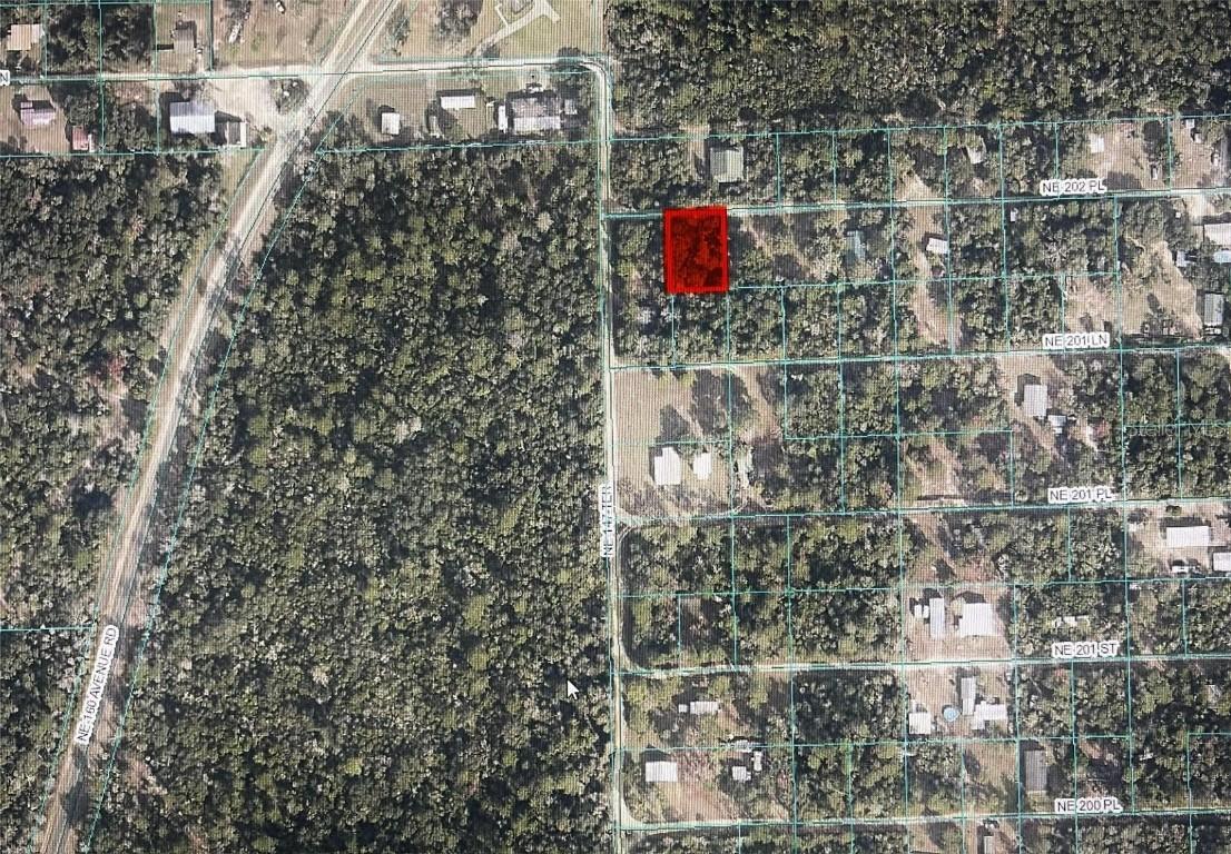 TBD NE 202nd Pl, Fort Mc Coy, FL 32134