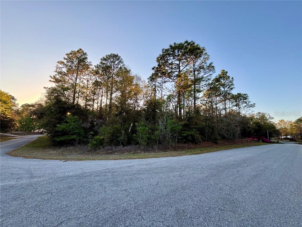 Lot 33 SW 97 Pl., Dunnellon, FL 34431
