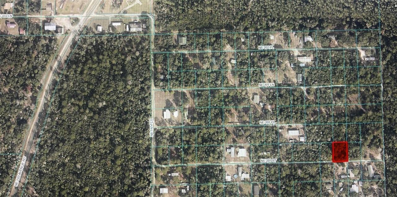 TBD NE 201st St, Fort Mc Coy, FL 32134