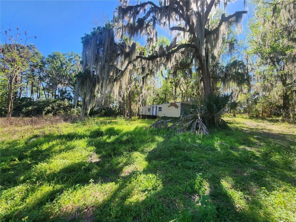 19040 NW 60th Ave., Reddick, FL 32686