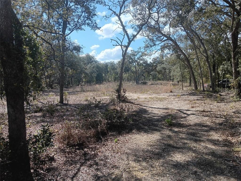 8190 NE 118th Ter., Bronson, FL 32621