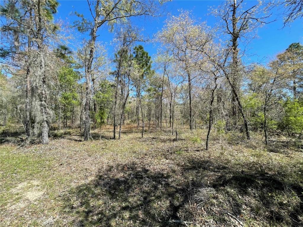 Lot 12 SE 117 Ter., Morriston, FL 32668