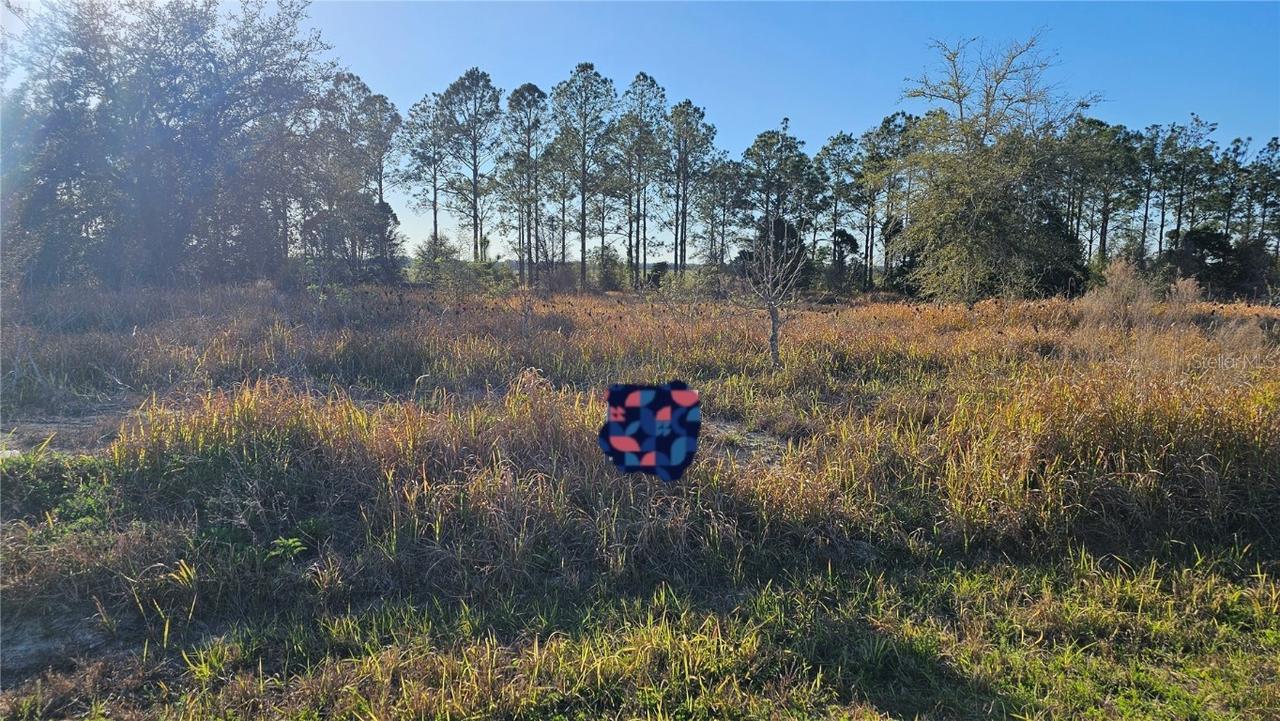 00 Ash Road, Ocala, FL 34472