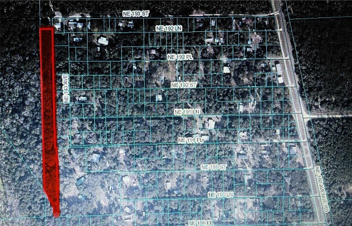 TBD NE 193rd St, Fort Mc Coy, FL 32134
