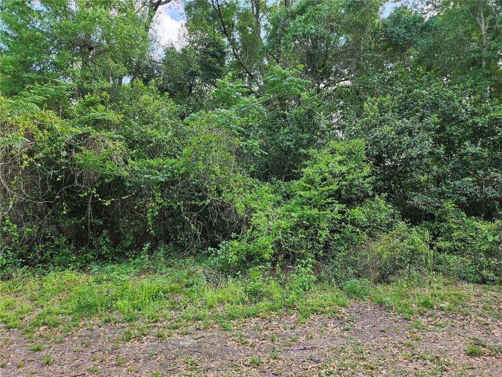 SE 138 St., Summerfield, FL 34491