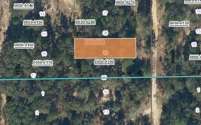 00 Sw 55th Avenue, Interlachen, FL 32148