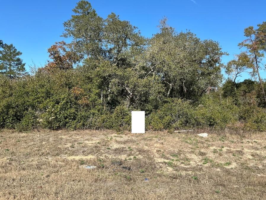 SW 165th Loop, Ocala, FL 34473