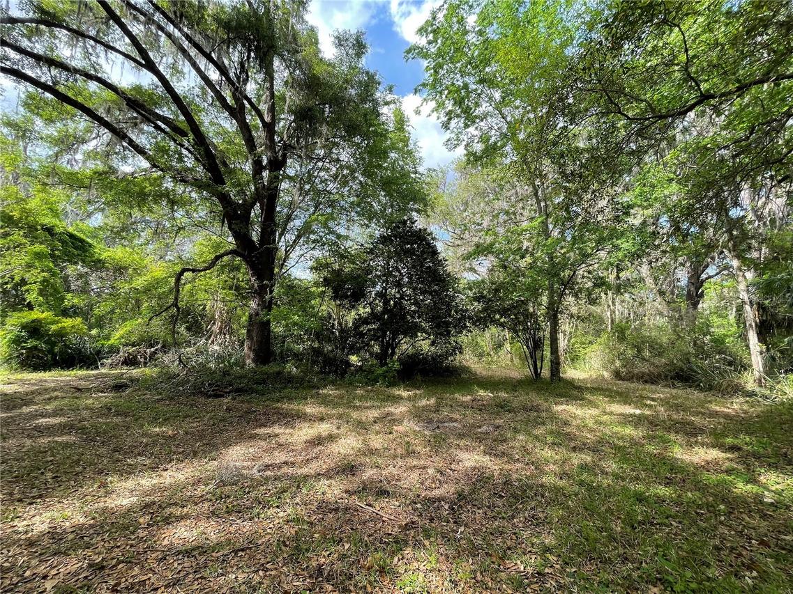 17400 NW 120th Ave Rd., Reddick, FL 32686