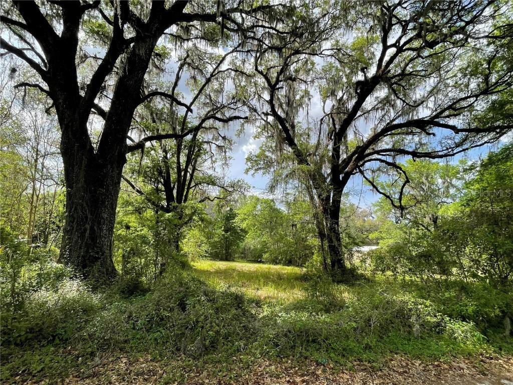17400 NW 120th Ave Rd., Reddick, FL 32686