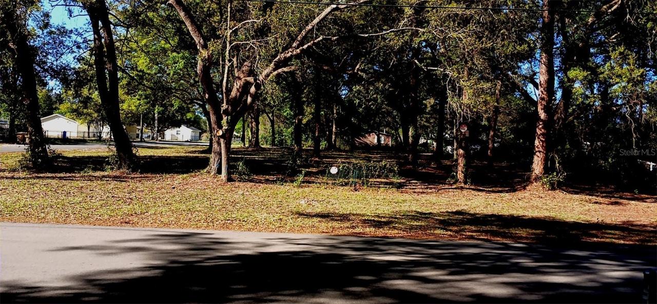 Veva Ave., Paisley, FL 32767