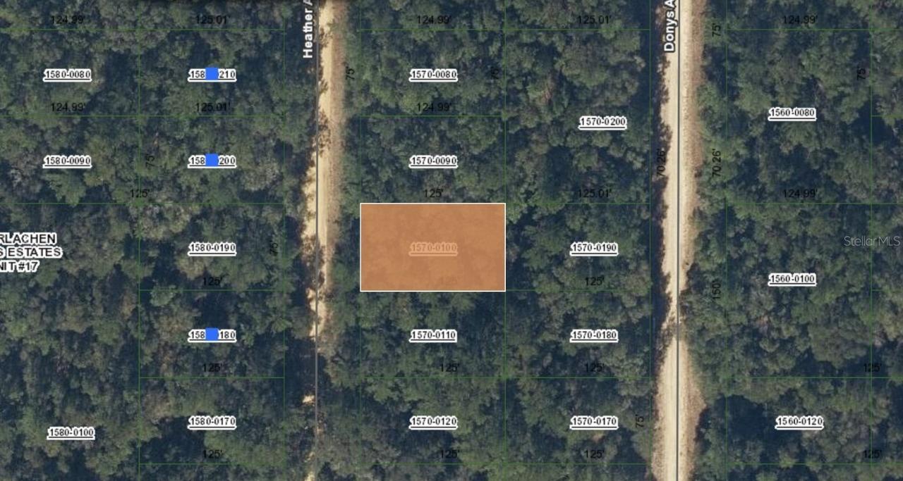 00 Heather Ave., Interlachen, FL 32148