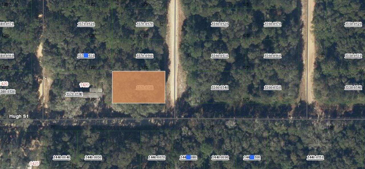 00 Donys Ave., Interlachen, FL 32148