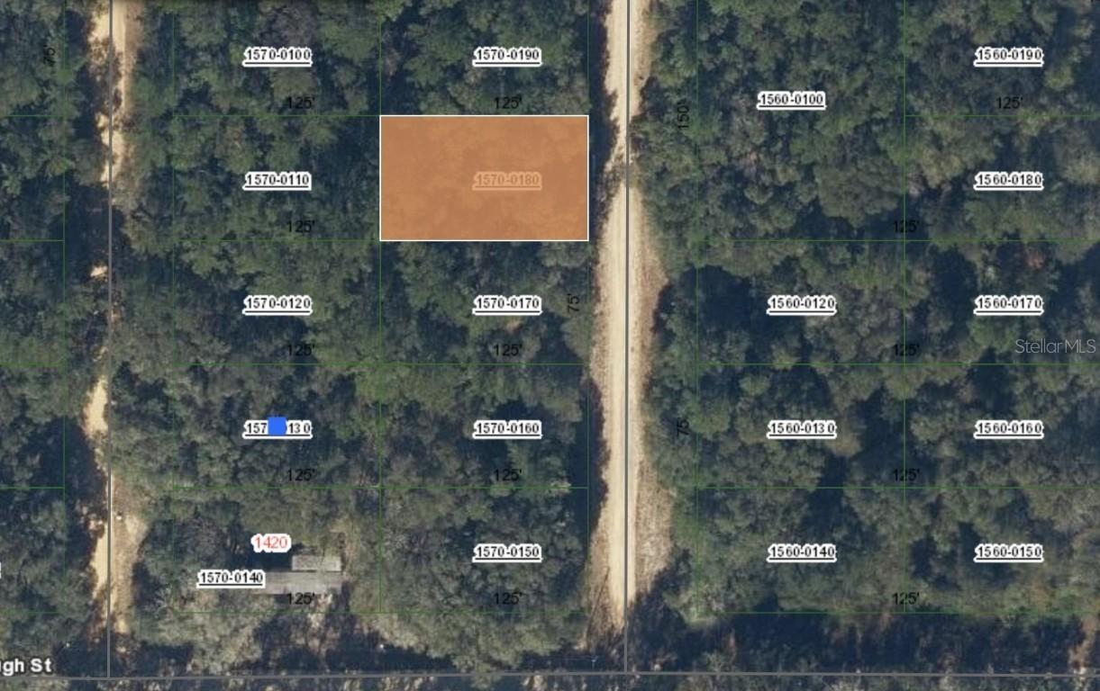 00 Donys Ave., Interlachen, FL 32148