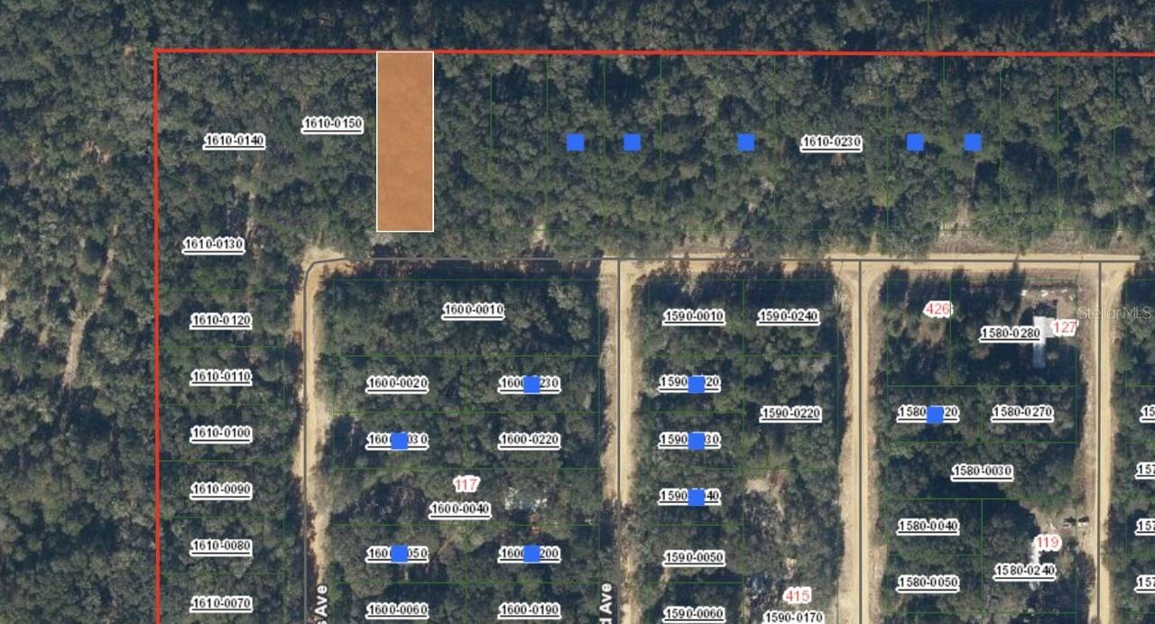 00 Sigman St., Interlachen, FL 32148