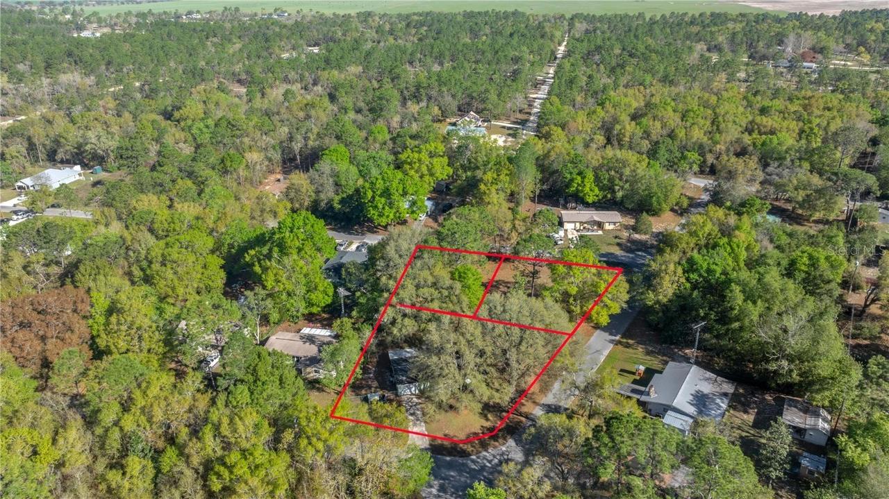 Tbd Ne 14th Pl, Williston, FL 32696