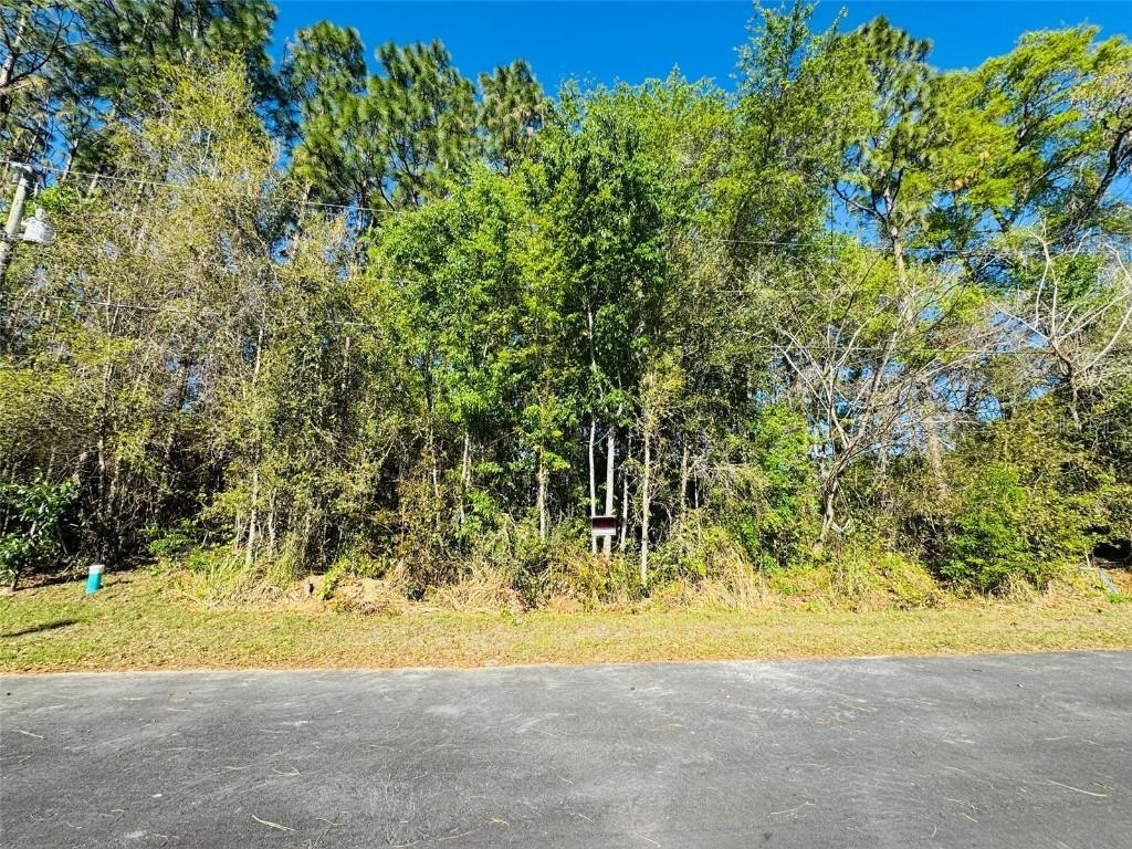 Silver Way Ct, Ocala, FL 34472