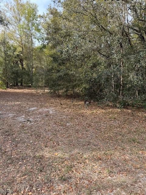 8414 W Gayle Ln., Crystal River, FL 34428