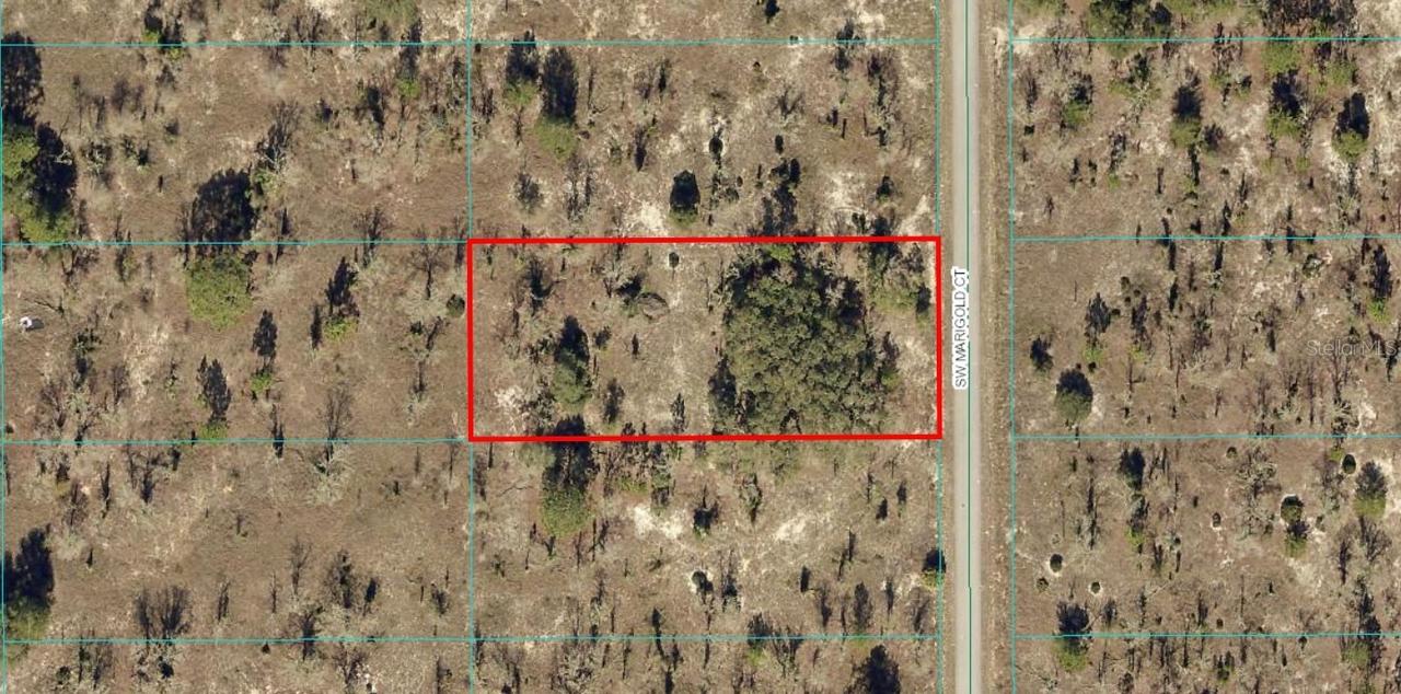 TBD LOT 6 SW Marigold Ct., Dunnellon, FL 34431
