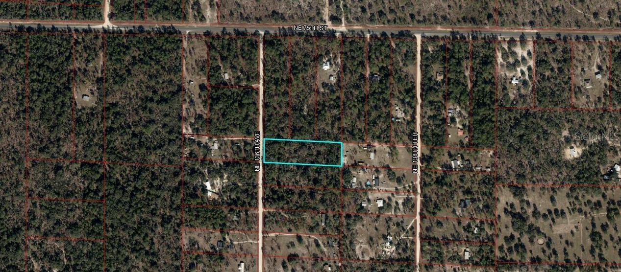 TBD NE 136th Ave., Williston, FL 32696