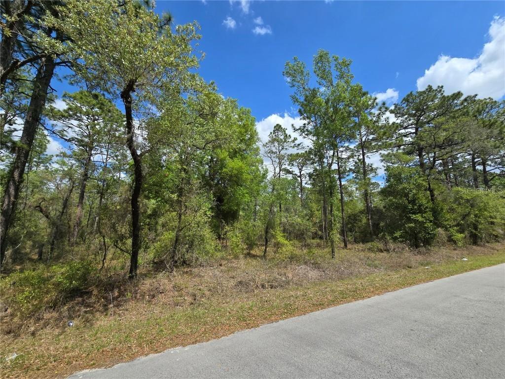 24345 NW Water Oak Ave., Dunnellon, FL 34431
