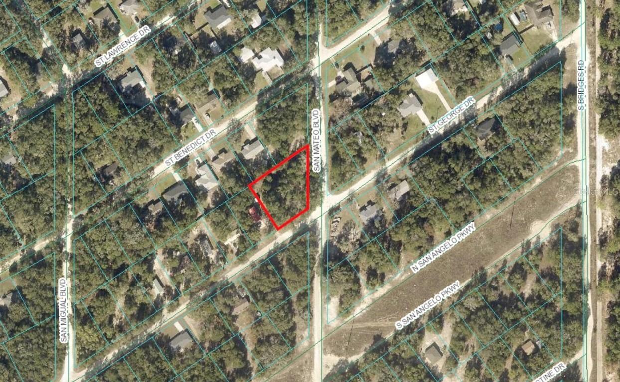 LOT #228 & #229 St. George Drive & San Mateo Blvd., Dunnellon, FL 34432