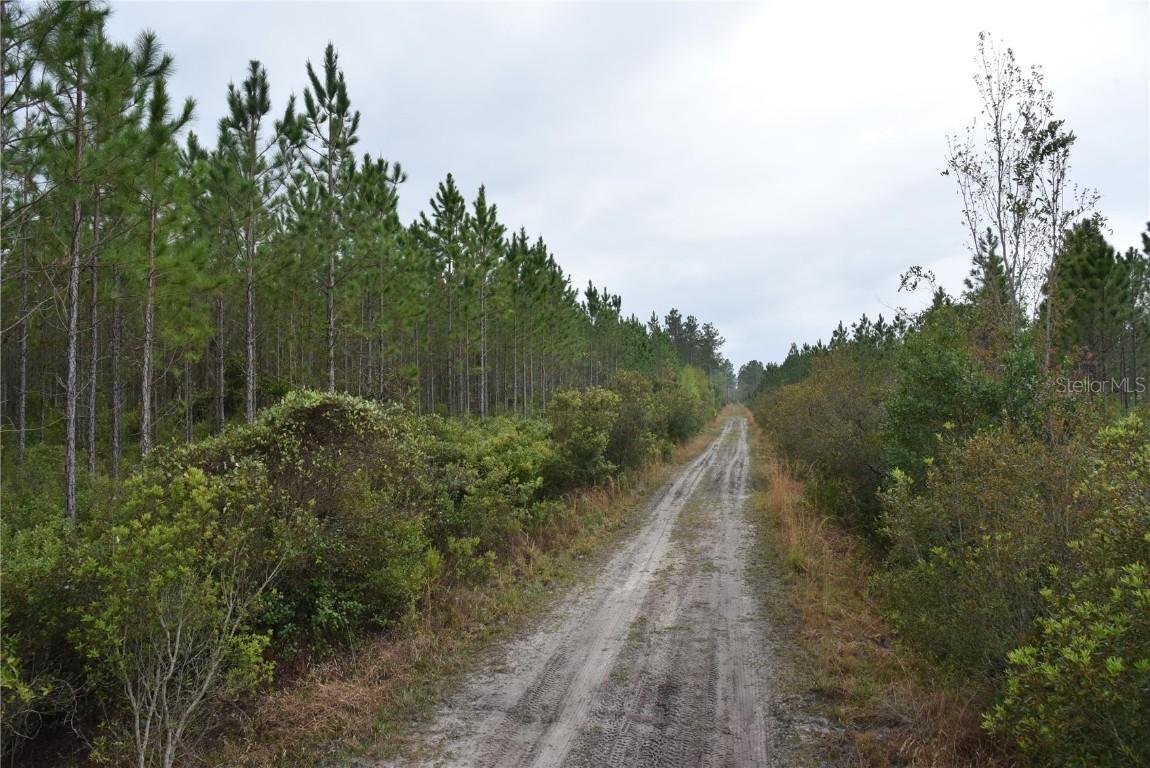 Off Hwy 225, Gainesville, FL 32609
