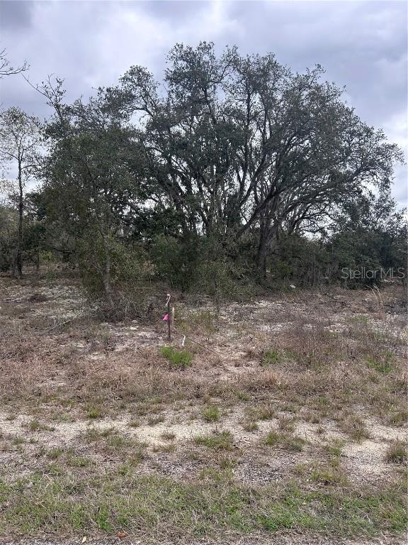 08-22 Winding Hills Rd., Dunnellon, FL 34431