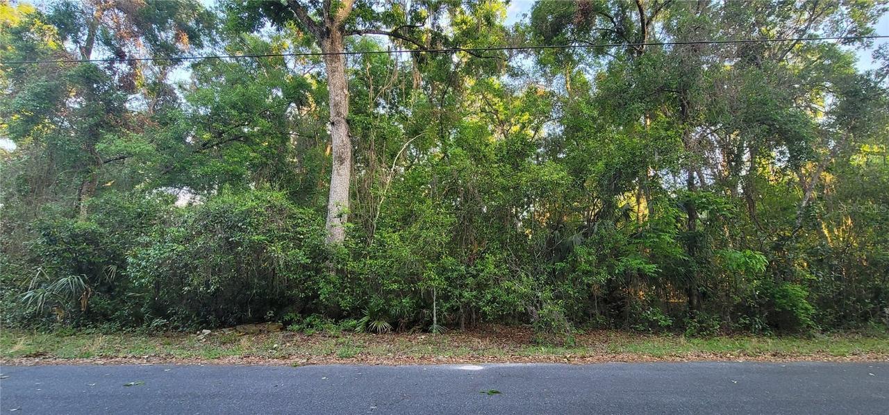 10538 E Boblink Ln., Floral City, FL 34436