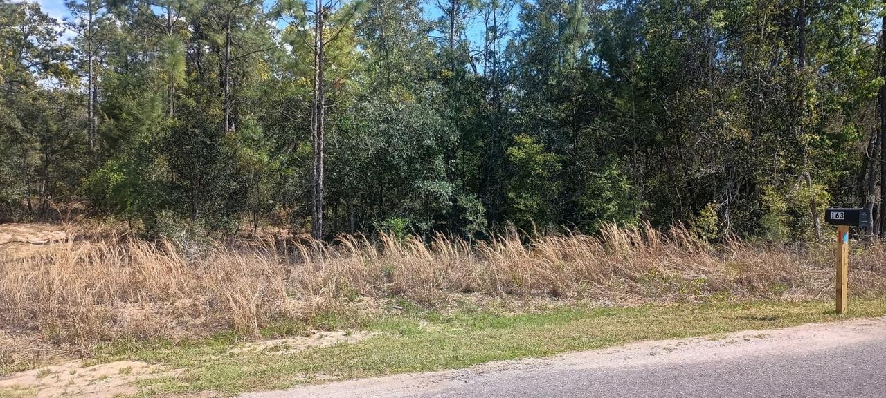 164 Guava Pass, Ocklawaha, FL 32179
