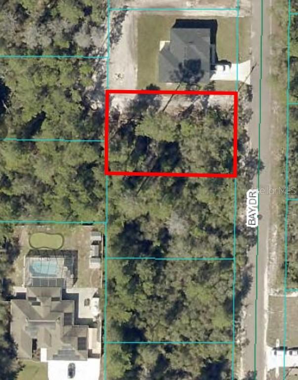 00 Bay Dr. #Lot 19, Ocklawaha, FL 32179