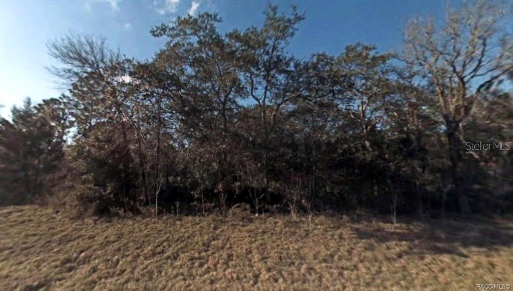 143 Pl., Ocala, FL 34473