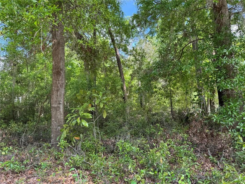 TBD SW Clearwater Ct., Dunnellon, FL 34431