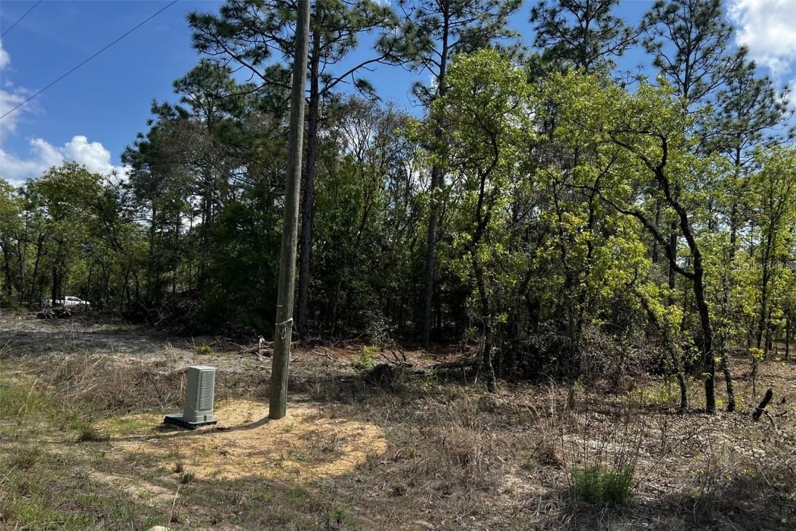 TBD SW 90th Pl., Dunnellon, FL 34432