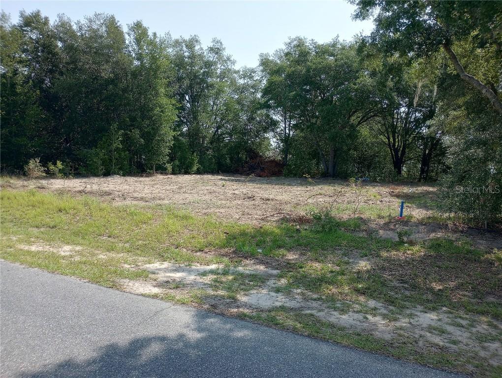 TBD SW 128th Pl., Ocala, FL 34473