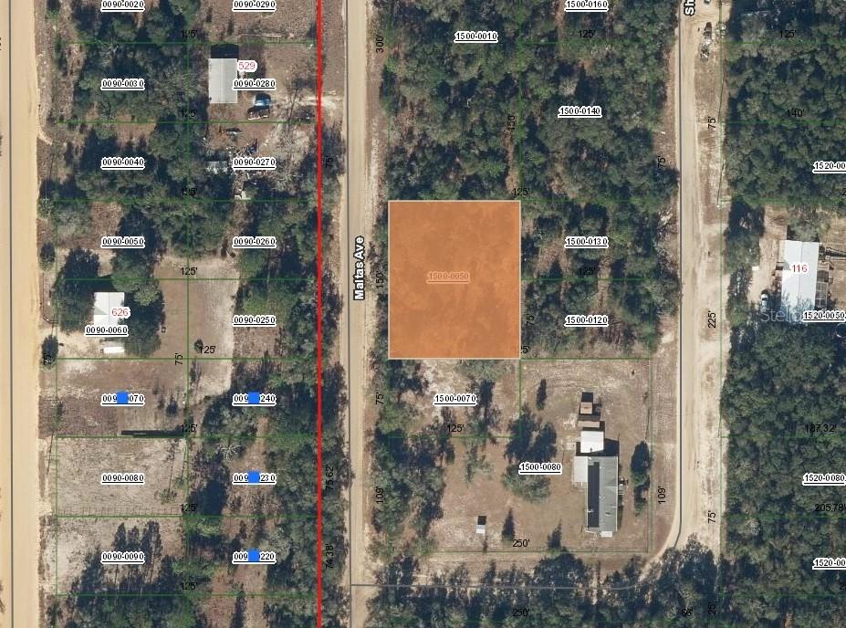00 Maltas Ave., Interlachen, FL 32148