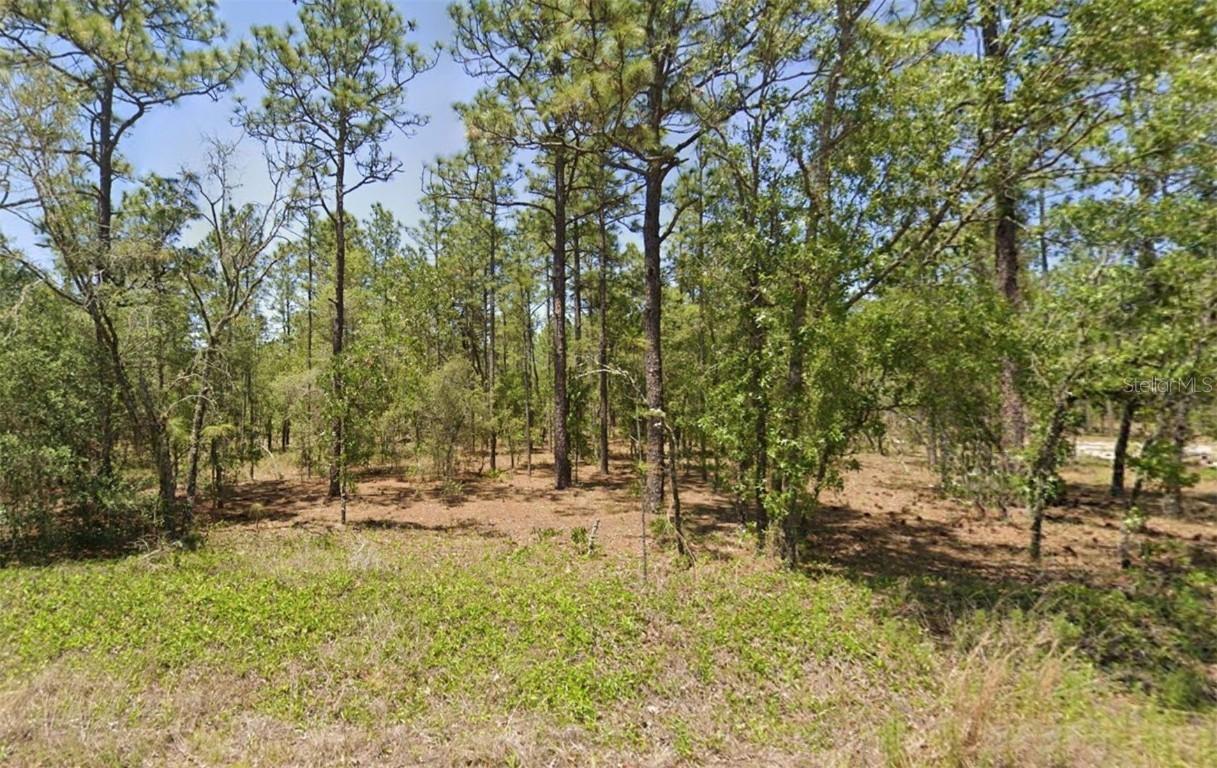 00 NW Amberjack Ave., Dunnellon, FL 34431