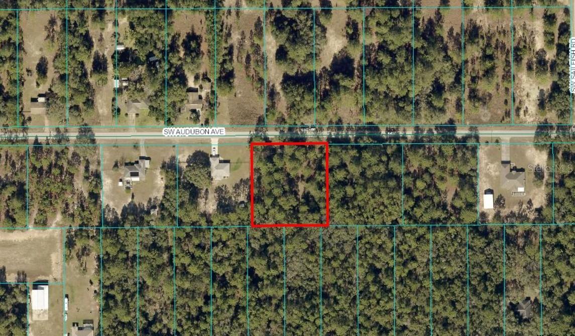 TBD LOT 17 SW Audubon Ave., Dunnellon, FL 34431