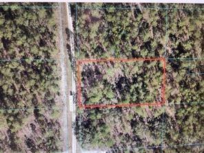 00 SW 136th Ter., Dunnellon, FL 34432