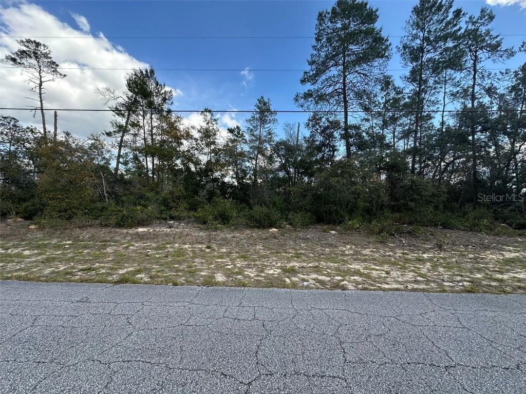 8385 N Farrington Dr., Citrus Springs, FL 34433