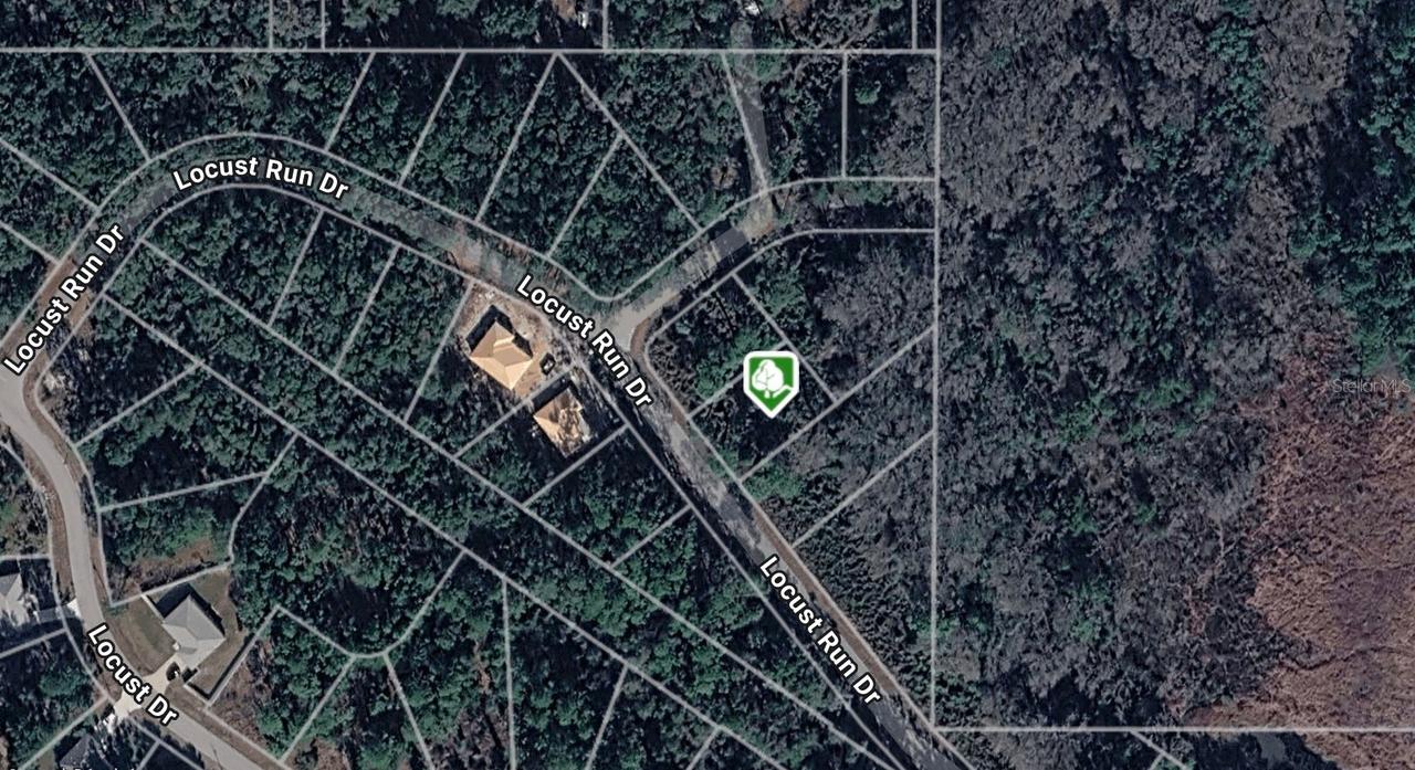 TBD Locust Run Drive Dr., Ocala, FL 34472