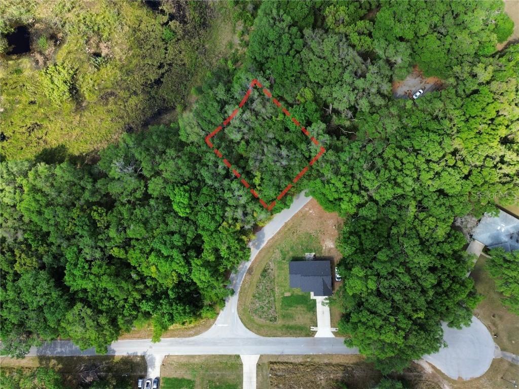 Locust Run Pl., Ocala, FL 34472