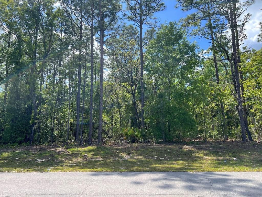 SW 89 Cir., Ocala, FL 34473