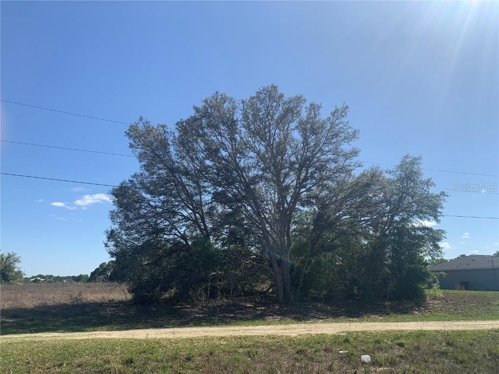 SW 104th St., Dunnellon, FL 34432