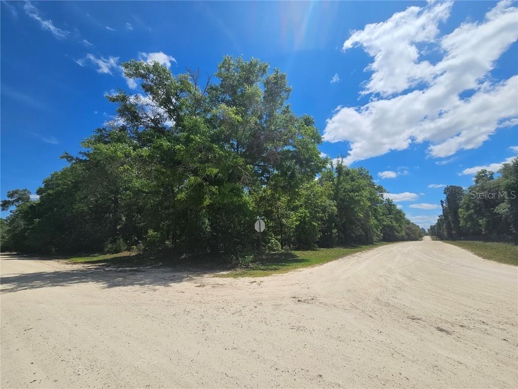 tbd NE 93rd Ter., Bronson, FL 32621