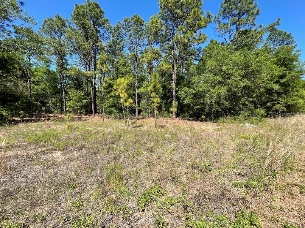 Lot 25 SW 21st Pl., Ocala, FL 34481