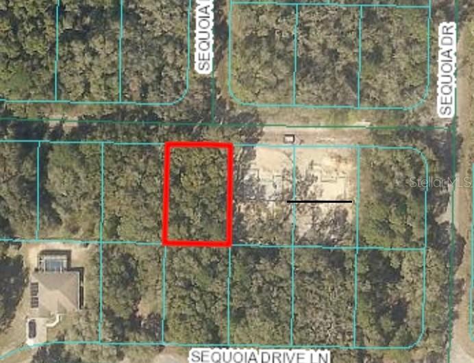 00 Sequoia Dr Crse, Ocklawaha, FL 32179