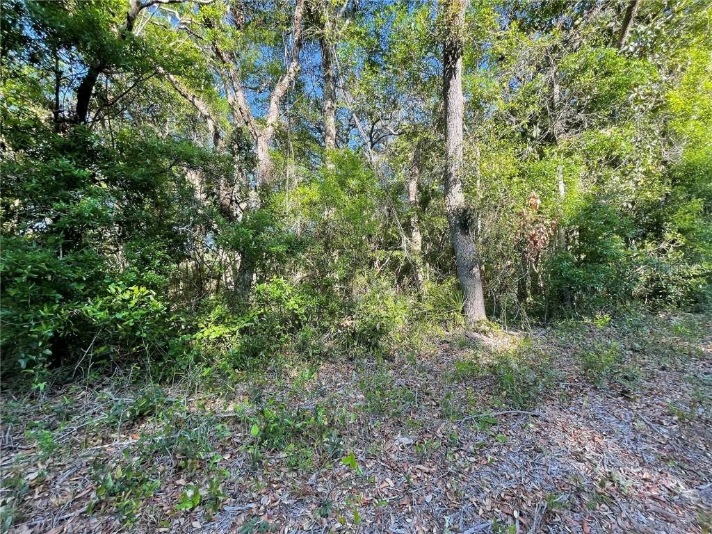 Lot 3 NW 82 Ct., Chiefland, FL 32626