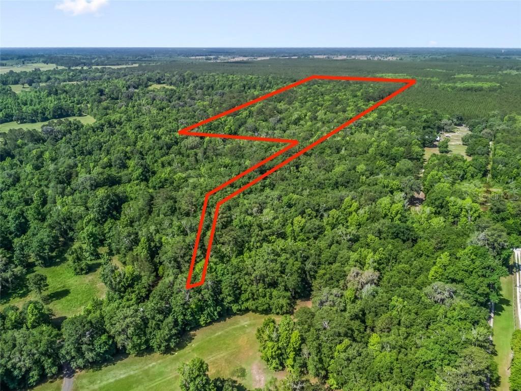 NW 198th St Rd., Micanopy, FL 32667